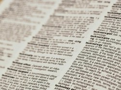 95 Contoh Kalimat Membran, Pronotum, dan Ooteka, Lengkap dengan Artinya