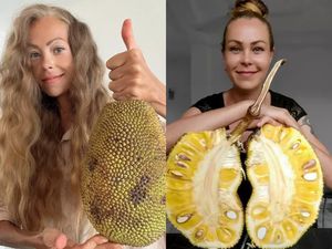 Influencer Diet Tewas Kelaparan hingga Gerai Pisang Goreng Legendaris Tutup Influencer Diet Tewas Kelaparan hingga Gerai Pisang Goreng Legendaris Tutup