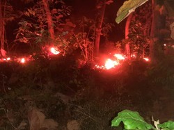 15 Hektar Hutan Jati Perhutani di Situbondo Dilalap Si Jago Merah