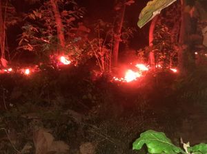 15 Hektar Hutan Jati Perhutani di Situbondo Dilalap Si Jago Merah 15 Hektar Hutan Jati Perhutani di Situbondo Dilalap Si Jago Merah