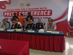 Bea Cukai Soetta Gagalkan Penyelundupan Benih Lobster Rp 5,3 M ke Singapura