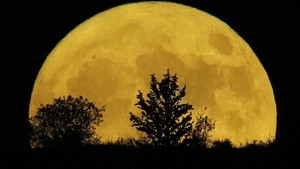 Doa Melihat Bulan Purnama Supermoon, Bisa Dibaca Malam Ini