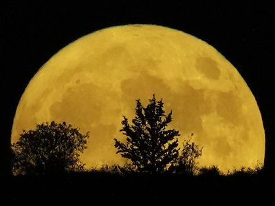 Melihat Keindahan Terbitnya Supermoon di Berbagai Belahan Dunia