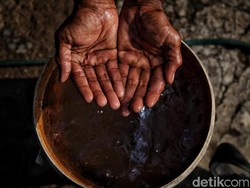 Dampak El Nino Kian Nyata, Ini Daftar Daerah yang Paling Terdampak