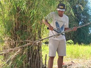 Manggarai Barat Mau Bikin Aturan Tebang 1 Bambu Ganti 10 Manggarai Barat Mau Bikin Aturan Tebang 1 Bambu Ganti 10
