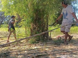 Penjual Tiang Bendera Berbahan Bambu di Pasuruan Raup Untung Sambut 17-an