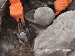 Arkeolog Temukan Tengkorak Bentuk Hati, Diduga Hasil Modifikasi