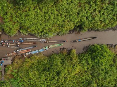 Potret Restorasi Ekosistem Hutan Gambut di Kalimantan Tengah