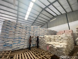Masa Tanam di Sukabumi Mundur Efek El Nino, Stok Pupuk Subsidi Aman?