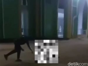Viral Anak Anjing Dibanting 4 Remaja Sampai Mati di Natuna, Alasannya Najis