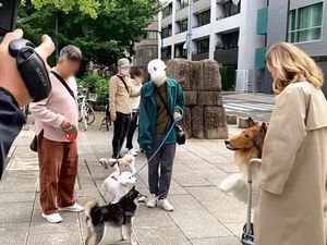 Pria Jepang Terobsesi Jadi Anjing, Berakhir Ditakuti Anjing Betulan