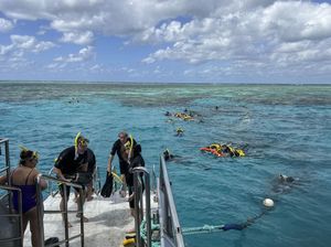 Great Barrier Reef Tak Masuk Daftar Bahaya UNESCO, tapi Dibayangi El Nino Great Barrier Reef Tak Masuk Daftar Bahaya UNESCO, tapi Dibayangi El Nino
