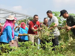 Kediri Dinobatkan Peringkat 1 Kota Paling Berkelanjutan
