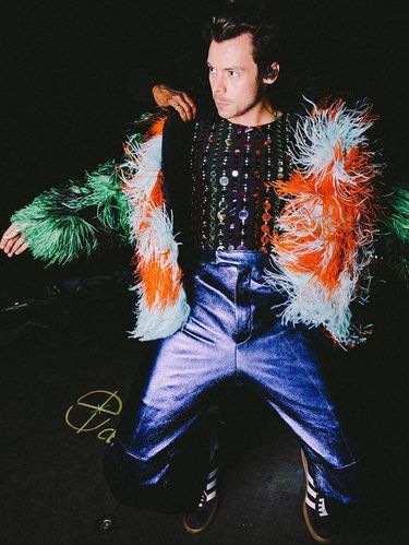 Harry Styles/Foto: Instagram.com/harrystyles