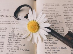 Pengertian dan Contoh Kalimat Efektif