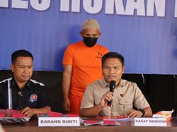 Guru SMA di Rohul Ditangkap Usai Cabuli-Setubuhi 2 Siswi di Ruang BK