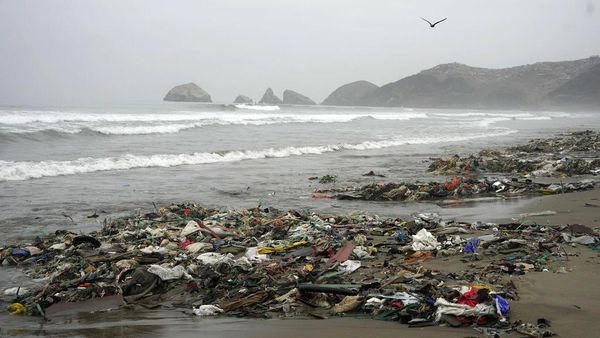 Prihatin, Pantai Los Delfines Peru Dipenuhi Sampah