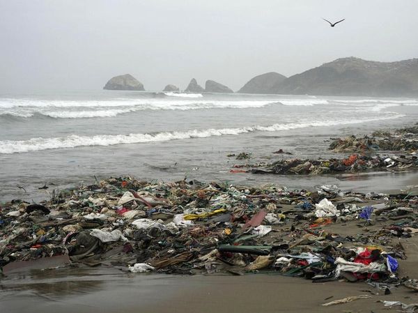 Prihatin, Pantai Los Delfines Peru Dipenuhi Sampah
