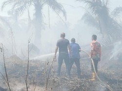 19 Hektare Lahan Sawit di Asahan Terbakar, Polisi Cek Dugaan Kesengajaan
