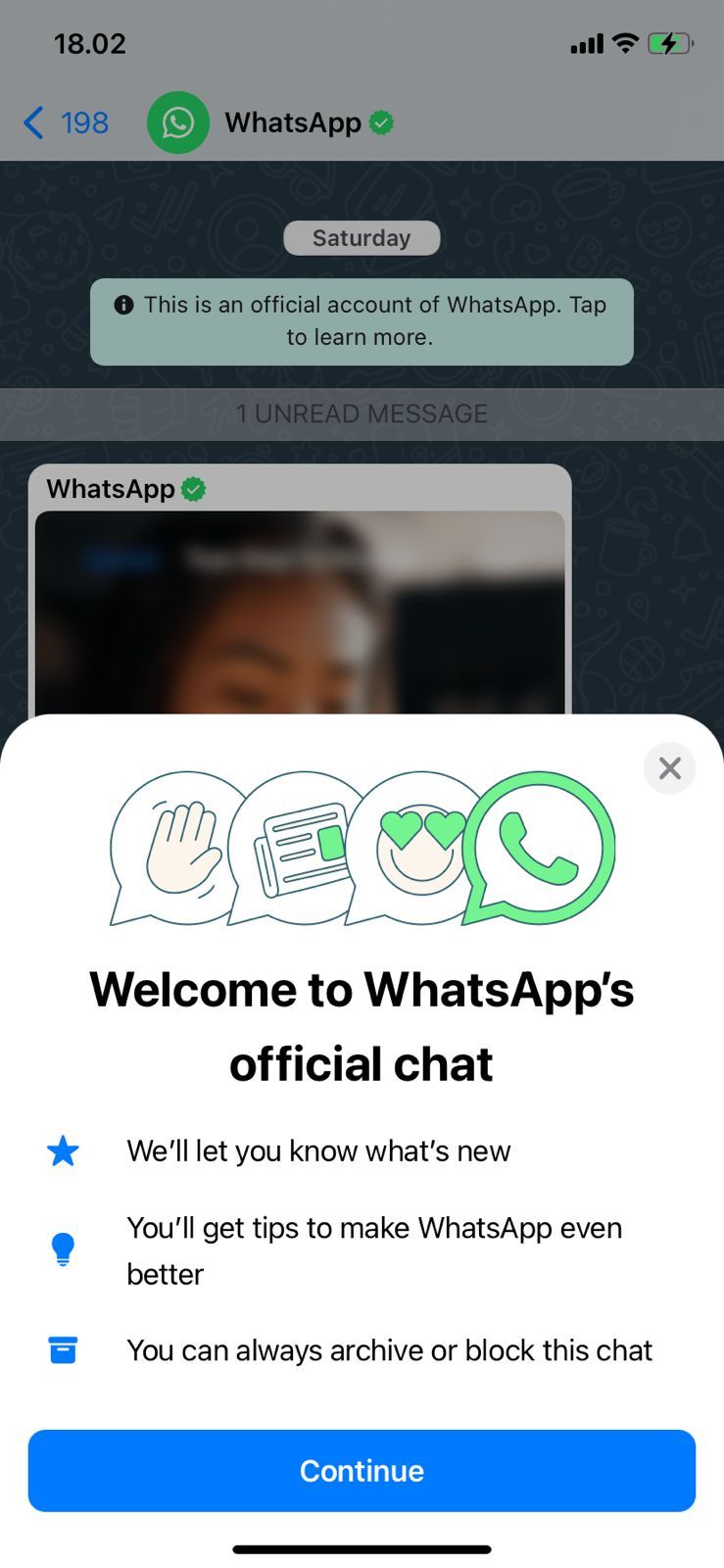 Tangkapan Layar Akun Resmi WhatsApp Tangkapan Layar Akun Resmi WhatsApp