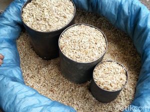 Tipa-tipa, Sereal Khas Samosir Terbuat dari Beras Tipa-tipa, Sereal Khas Samosir Terbuat dari Beras