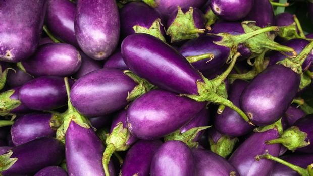 Eggplant purple from market