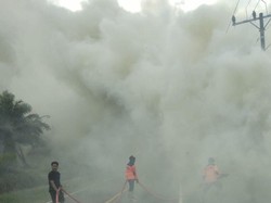 7 Hektare Lahan Tidur Terbakar di Pulau Bangka, Asap Ganggu Pengguna Jalan