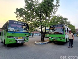 Curhat Sopir Bus Ijo Mojokerto-Surabaya yang Terancam Tergusur Trans Jatim