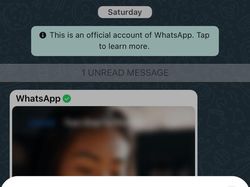 Viral Chat Akun WA Centang Hijau Disebut dari Hacker, Benarkah?