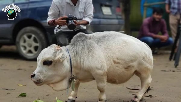 Deretan Fakta  Mencengangkan yang Patut Diketahui