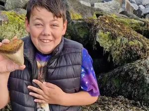 Bocah Ini Temukan Gigi Hiu Megalodon Seukuran Telapak Tangannya