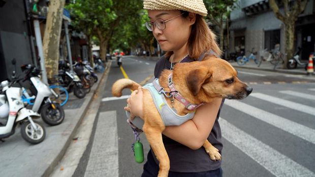 Pet owner Mi Jiayi walks her dog Mary in a cooling vest on a summer day in Shanghai, China July 19, 2023.