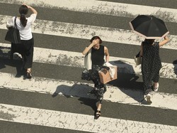 Heatwave Landa Asia Tenggara, Kenali dan Tips Atasi Cuaca Panas Ekstrem