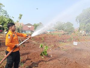 Lahan Eks Wahana Permainan Ilegal di Stadion Pakansari Dijadikan Hutan Kota