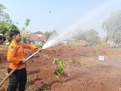 Lahan Eks Wahana Permainan Ilegal di Stadion Pakansari Dijadikan Hutan Kota