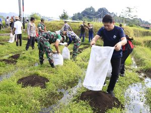 Pupuk Osaki Klungkung Diklaim Tekan Biaya-Tingkatkan Hasil Pertanian