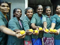 11 Wanita Petugas Kebersihan di India Menang Lotre Rp 18,3 M