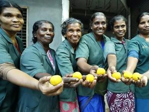 11 Wanita Petugas Kebersihan di India Menang Lotre Rp 18,3 M 11 Wanita Petugas Kebersihan di India Menang Lotre Rp 18,3 M