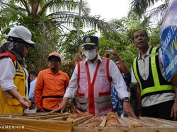 3 Fakta Bandara VVIP di IKN yang Mau Dikebut Kemenhub