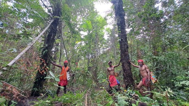Tiga pria dari Suku Yaben Simora berdiri di bawah Pohon Enau atau Aren (Arenga pinnata) yang menjadi penanda rumah leluhur mereka pada saat pemetaan partisipatif di Distrik Konda, Kabupaten Sorong Selatan, Papua Barat Daya, 26 April 2023. (Dok.Konservasi Indonesia)