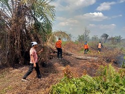 Hampir Sepekan, Lahan Sawit yang Terbakar di Asahan Belum Sepenuhnya Padam