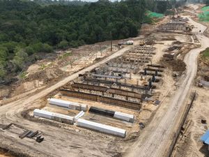 Dipimpin Aguan, 8 Investor Ngaku Siap Bangun Proyek di IKN!