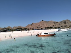 Pemkab Minta Pembelian Tiket TN Komodo via SiOra Hanya Dilakukan Travel Agent