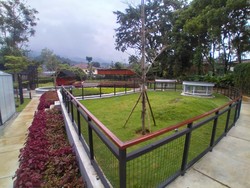 Liburan ke Bogor, Tempat Ini Bisa Jadi Alternatif Buat Healing