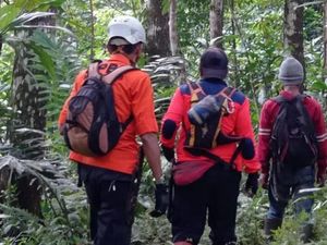 Mau Cari Rumput, Nenek Sarsih Justru Hilang 2 Hari di Hutan Mau Cari Rumput, Nenek Sarsih Justru Hilang 2 Hari di Hutan