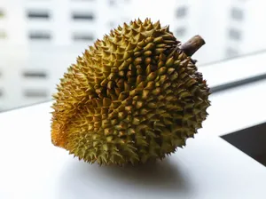Durian yang Bau Itu Makin Digemari di China Durian yang Bau Itu Makin Digemari di China