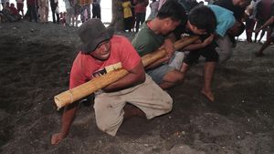 Melihat Atraksi Bambu Gila di Pantai Tobololo Ternate