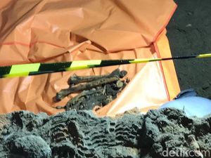 Polisi Beberkan Hasil Pemeriksaan Temuan Kerangka di Beteng Keraton Jogja Polisi Beberkan Hasil Pemeriksaan Temuan Kerangka di Beteng Keraton Jogja