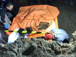 Kerangka Kuda Juga Ditemukan di Beteng Keraton Jogja, Polisi: Udah Remuk