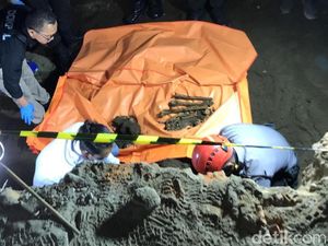 Kerangka Kuda Juga Ditemukan di Beteng Keraton Jogja, Polisi: Udah Remuk Kerangka Kuda Juga Ditemukan di Beteng Keraton Jogja, Polisi: Udah Remuk